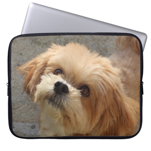 Lhasa Apso Hund im Garten Laptopschutzhülle (Vorderseite)