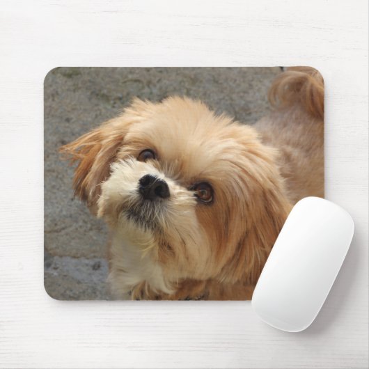 Lhasa Apso Hund im Garten Mousepad (Mit Mouse)