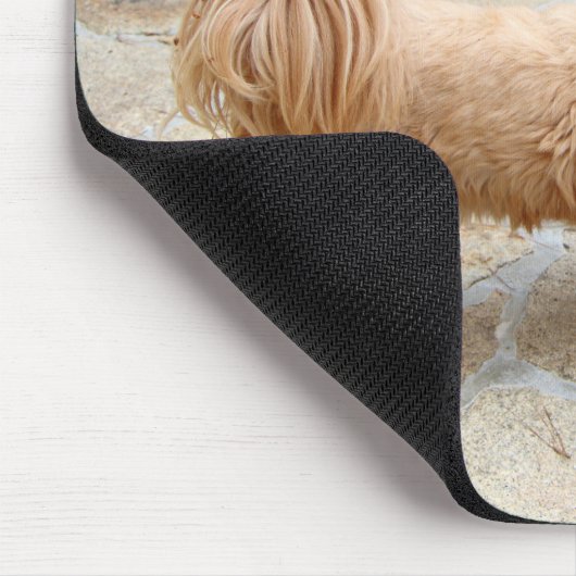 Lhasa Apso Hund im Garten Mousepad (Ecke)