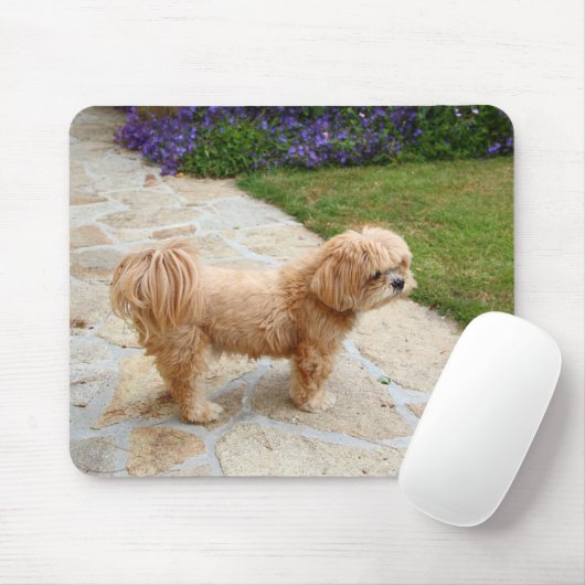Lhasa Apso Hund im Garten Mousepad (Mit Mouse)