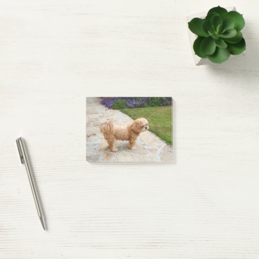 Lhasa Apso Hund im Garten Post-it Klebezettel (Büro)