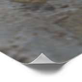 Lhasa Apso Hund im Garten Poster (Ecke)