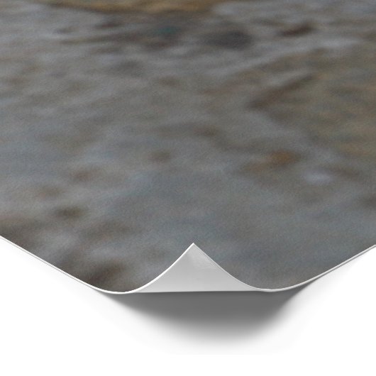 Lhasa Apso Hund im Garten Poster (Ecke)