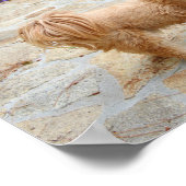 Lhasa Apso Hund im Garten Poster (Ecke)