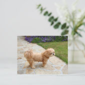 Lhasa Apso Hund im Garten Postkarte (Stehend Vorderseite)