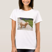 Lhasa Apso Hund im Garten T-Shirt (Vorderseite)