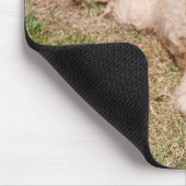 Lhasa Apso Hund Mousepad (Ecke)