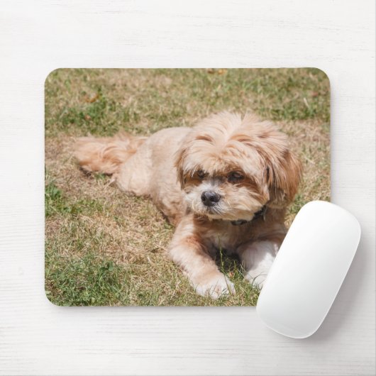 Lhasa Apso Hund Mousepad (Mit Mouse)