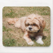 Lhasa Apso Hund Mousepad (Vorne)