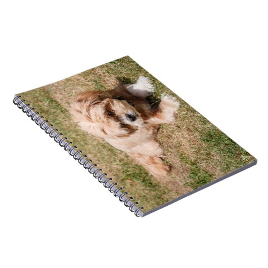 Lhasa Apso Hund Notizblock (Rechte Seite)