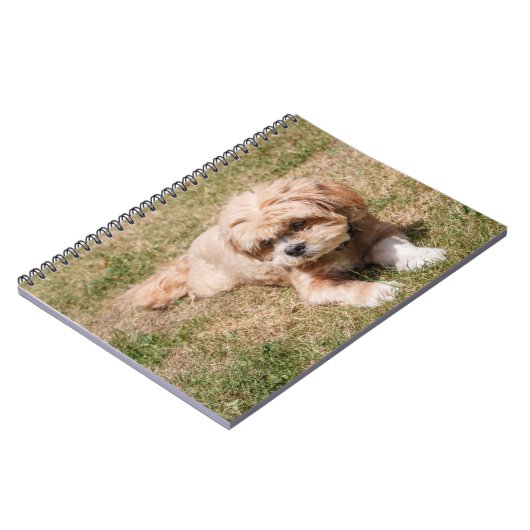 Lhasa Apso Hund Notizblock (Linke Seite)