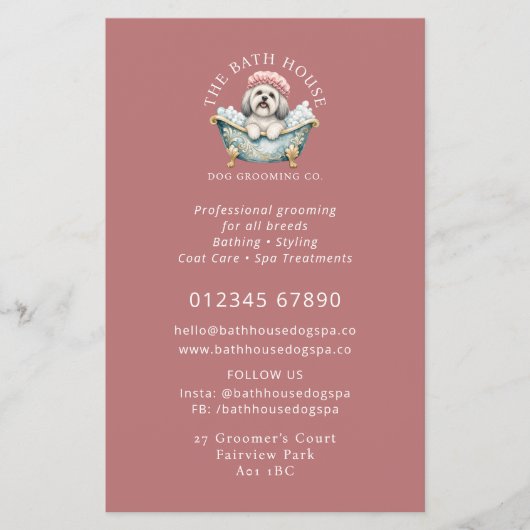 Lhasa Apso Hund Pflege Werbeflyer - Rosa Flyer (Vorne)