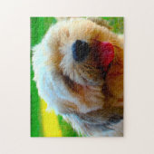 Lhasa-Apso-Hundrasse. Puzzle (Vertikal)
