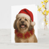 Lhasa Apso in a Santa hat Christmas card Karte (Gelbe Blume)