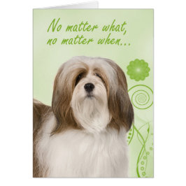Lhasa Apso Liebe- und Supportkarte