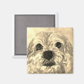 Lhasa Apso Magnet (Vorderseite/Rückseite)
