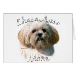 Lhasa Apso Mama 2