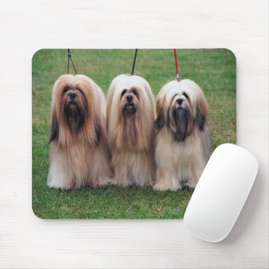 Lhasa apso Mausunterlage Mousepad (Mit Mouse)