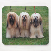 Lhasa apso Mausunterlage Mousepad (Vorne)