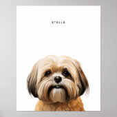 Lhasa Apso Personalisiert Print Poster (Vorne)