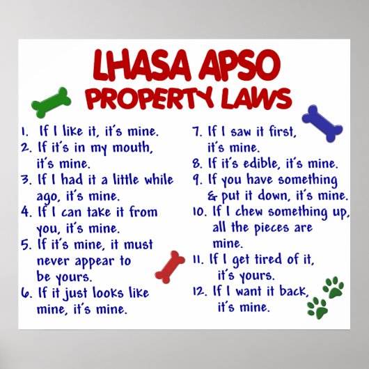 LHASA APSO PL2 POSTER (Vorne)