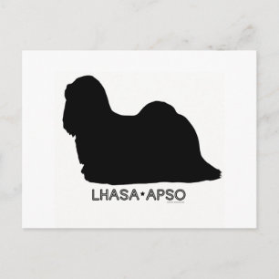 Lhasa Apso Postcard Postkarte
