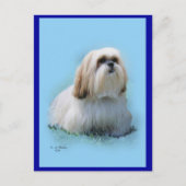 Lhasa Apso Postcard Postkarte (Vorderseite)