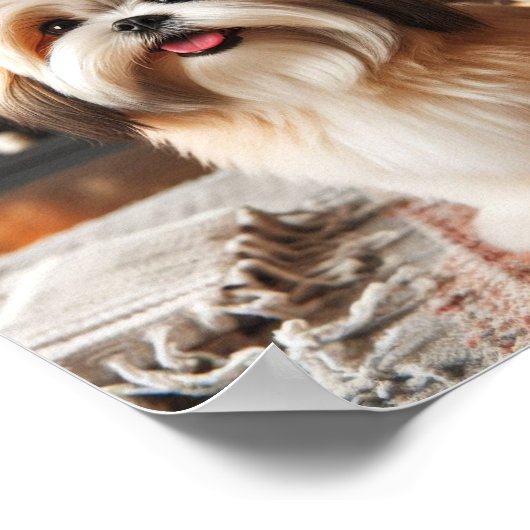 Lhasa Apso Poster (Ecke)
