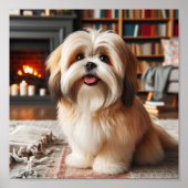 Lhasa Apso Poster (Vorne)
