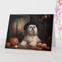 Lhasa Apso Pumpkins Halloween Beängstigend