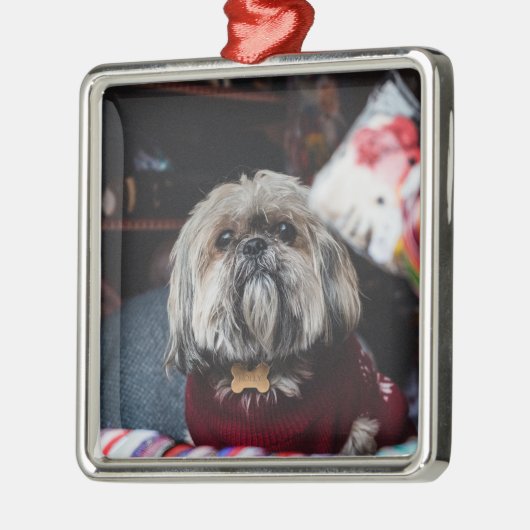 Lhasa apso puppy at Christmas b Ornament Aus Metall (Links)