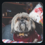 Lhasa apso puppy at Christmas b Quadratischer Aufkleber<br><div class="desc">Weihnachten,  Haustiere schicken tzu ,  bichon mini hübsche Freund ,  bichon freundliches Tracht lügen,  fellrasse kleinen Welpen ,  zauberhafte lustige Hunde ,  xmas fröhlicher Urlaub purebred ,  liebevolles Haustier lhasa apso ,  Tier schöne Hunde niedlich ,  Weihnachten Lhasa apso Hund , </div>
