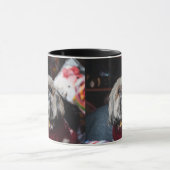 Lhasa apso puppy at Christmas b Tasse (Zentrum)