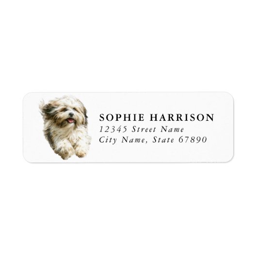 Lhasa Apso Rücksendeadressetiketten (Vorne)