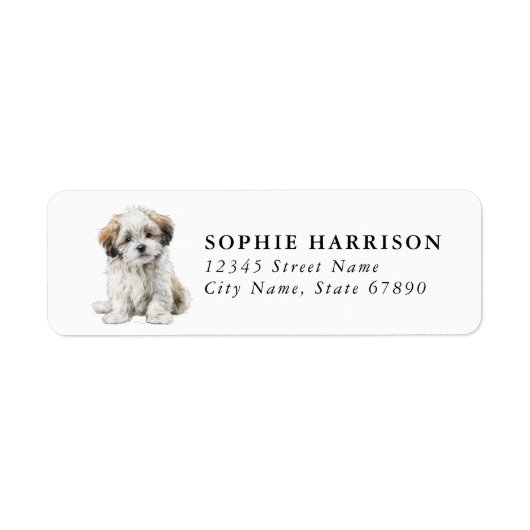 Lhasa Apso Rücksendeadressetiketten (Vorne)