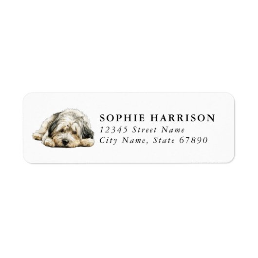 Lhasa Apso Rücksendeadressetiketten (Vorne)