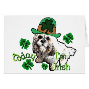Lhasa Apso St Patricks
