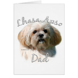 Lhasa Apso Vater 2
