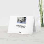 Lhasa Apso Vermisst You Card Karte (Rückseite)