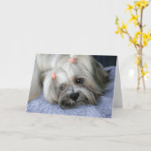 Lhasa Apso Vermisst You Card Karte (Gelbe Blume)