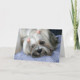 Lhasa Apso Vermisst You Card Karte