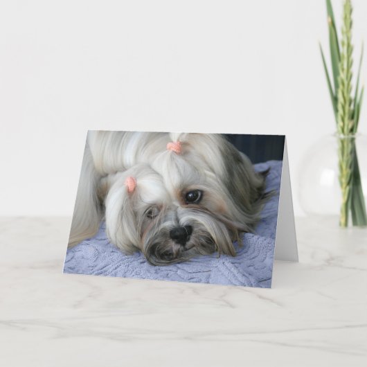 Lhasa Apso Vermisst You Card Karte (Vorderseite)
