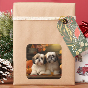 Lhasa Apso Welpe Herbstfreude Kürbis Quadratischer Aufkleber