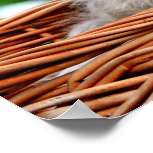 Lhasa Apso Welpen Hund in einem Korb Poster (Ecke)