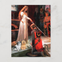 Lhasa Apsos (drei) - The Accolade
