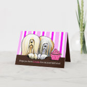 Lhasa-Geburtstags-Spaß Karte (Vorderseite)