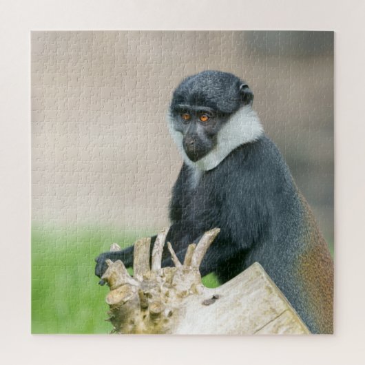 L'Hoest's Monkey auf einer Holzperche Puzzle (Vertikal)