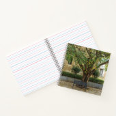 Li Garden Series: Echoes Beneath the Tree Notizblock (Innenseite)