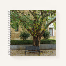Li-Garten-Serie: Echos unter dem Baum