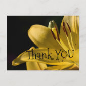 *'Li-Yellow' Design, Postkarte (Vorderseite)